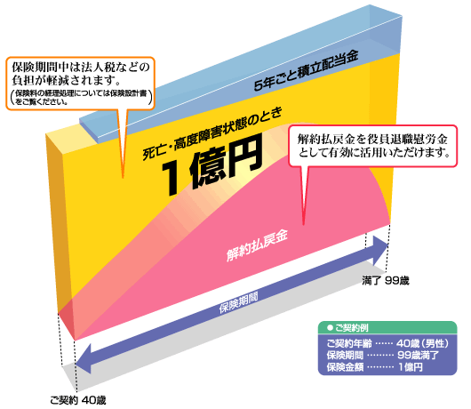 ご契約例：長期定期保険＜イメージ＞