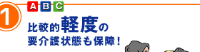 1 比較的軽度の要介護状態も保障！