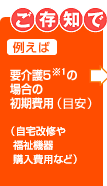 ご存知ですか 例えば要介護5※1の場合の初期費用（目安）