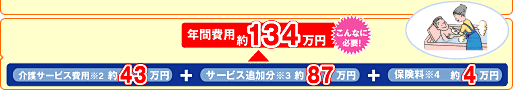 年間費用 約134万円 こんなに必要！