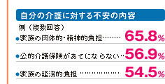 自分の介護に対する不安の内容
例（複数回答）
家族の肉体的・精神的負担：65.8％
公的介護保険があてにならない：56.9％
家族の経済的負担：54.5％