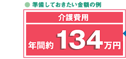 準備しておきたい金額の例 介護費用 年間約134万円
