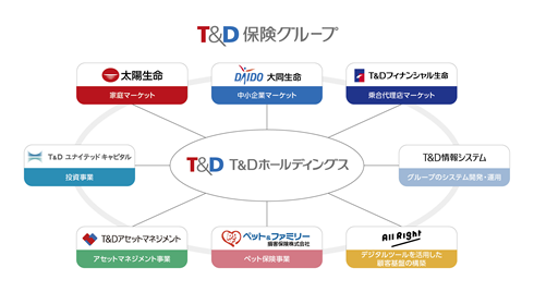 Ｔ&Ｄ保険グループ Ｔ&Ｄホールディングス→太陽生命：家庭マーケット 大同生命：中小企業マーケット Ｔ&Ｄフィナンシャル生命：乗合代理店マーケット（金融機関・来店型ショップ） Ｔ&Ｄユナイテッドキャピタル Ｔ&Ｄアセットマネジメント ペット&ファミリー少額短期保険株式会社 株式会社All Right ほか、傘下グループ各社