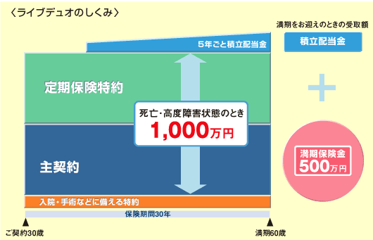 ライブデュオのしくみ