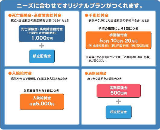 ニーズに合わせてオリジナルプランがつくれます。