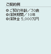 ご契約例
◎ご契約年齢／30歳
◎保険期間／10年
◎保険金 5,000万円
