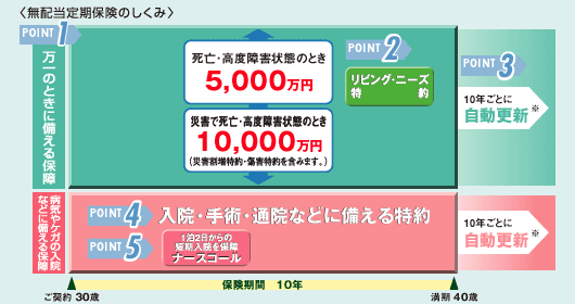 〈無配当定期保険のしくみ〉