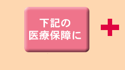 下記の医療保障に
