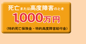 死亡または高度障害のとき1,000万円