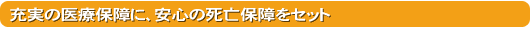 充実の医療保険に、安心の死亡保障をセット