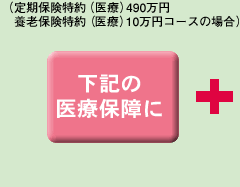 下記の医療保障に
