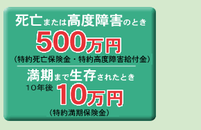 死亡または高度障害のとき500万円 満期まで生存されたとき10年後10万円