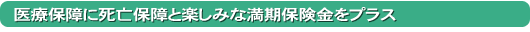 医療保障に死亡保障と楽しみな満期保険金をプラス
