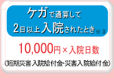 ケガで通算して2日以上入院されたとき