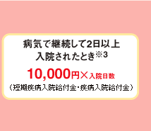 病気で継続して2日以上
入院されたとき※3