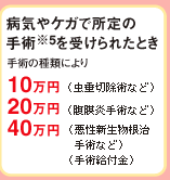 病気やケガで所定の
手術※5を受けられたとき