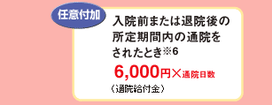 任意付加
入院前または退院後の
所定期間内の通院を
されたとき※6