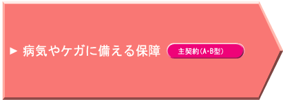 病気やケガに備える保障