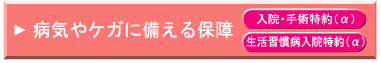 病気やケガに備える保障