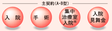 主契約（A・B型）