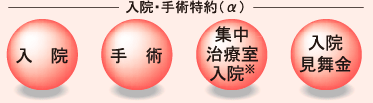 入院・手術特約（α）