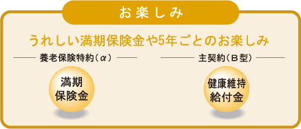 お楽しみ　うれしい満期保険金や5年ごとのお楽しみ