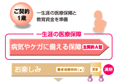 ご契約1歳　一生涯の医療保障と教育資金を準備