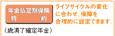 年金払定期保険特約 ライフサイクルの変化に合わせ、保障を合理的に設定できます。