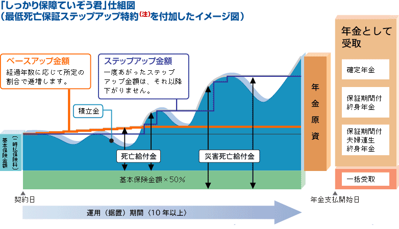 「しっかり保障ていぞう君」仕組図
（最低死亡保障ステップアップ特約を付加したイメージ図）