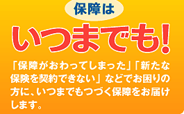 保障はいつまでも！
「保障がおわってしまった」「新たな保険を契約できない」 
などでお困りの方に、いつまでもつづく保障をお届けします。