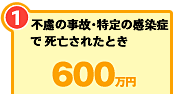 1 不慮の事故・特定の感染症で死亡されたとき 600万円