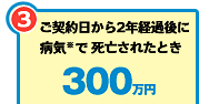 3 ご契約日から2年経過後に病気※で死亡されたとき 300万円