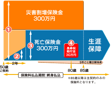 ご契約例：5年ごと利差配当付き無選択終身保険 B型の場合＜イメージ図＞