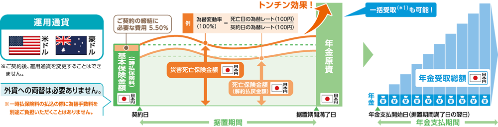 定期支払金額の仕組図