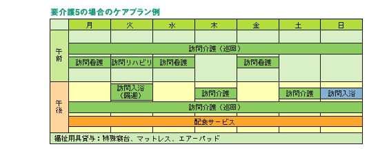 要介護5の場合のケアプラン例