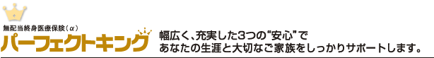 無配当終身医療保険（α）パーフェクトキング