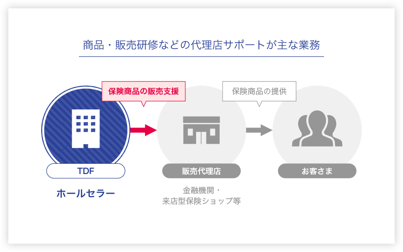 商品・販売研修などの代理店サポートが主な業務 TDF：ホールセラー（保険商品の販売支援）→販売代理店：金融機関・来店型保険ショップ等（保険商品の提供）→お客さま