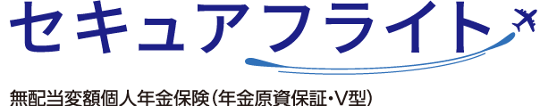 セキュアフライト